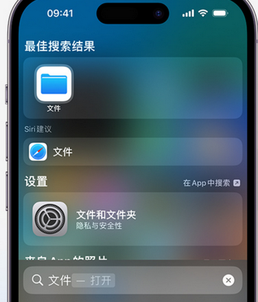 雨花apple维修中心分享iPhone文件应用中存储和找到下载文件