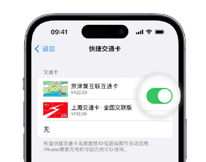 雨花apple维修点分享iPhone上更换Apple Pay快捷交通卡手绘卡面 