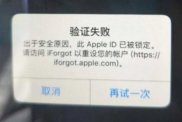 雨花iPhone维修分享iPhone上正常登录或使用AppleID怎么办 