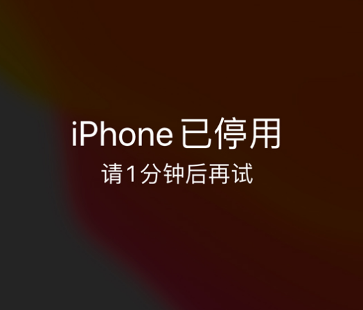 雨花苹果手机维修分享:iPhone 显示“不可用”或“已停用”怎么办？还能保留数据吗？ 