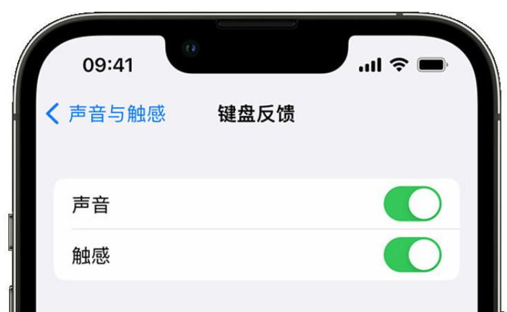 雨花苹果手机维修分享iPhone 14触感键盘使用方法 