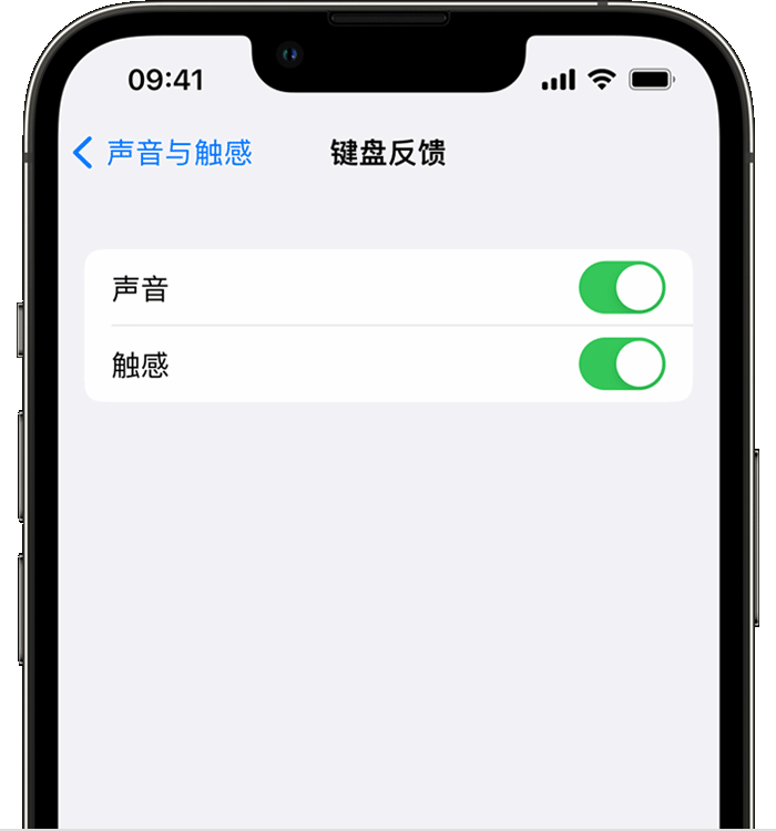 雨花苹果14维修店分享如何在 iPhone 14 机型中使用触感键盘 