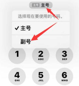 雨花苹果14维修店分享iPhone 14 Pro Max使用副卡打电话的方法 