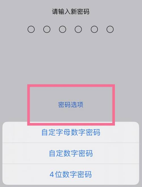 雨花苹果14维修分享iPhone 14plus设置密码的方法 