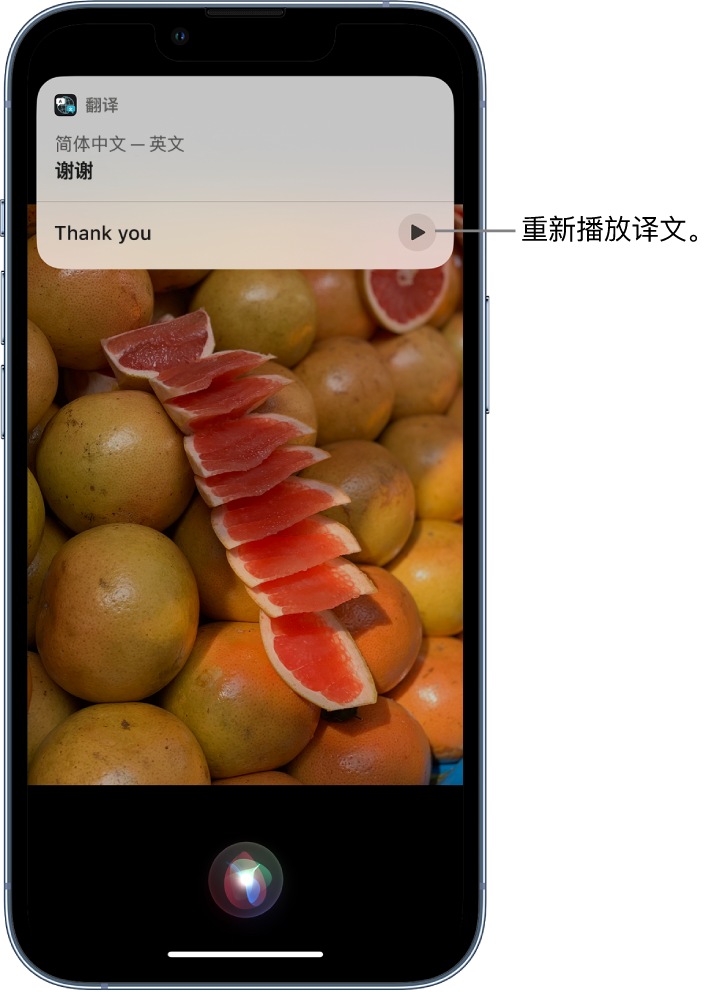 雨花苹果14维修分享 iPhone 14 机型中使用 Siri：了解 Siri 能帮你做什么 