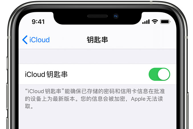 雨花苹果手机维修分享在 iPhone 上开启 iCloud 钥匙串之后会储存哪些信息 