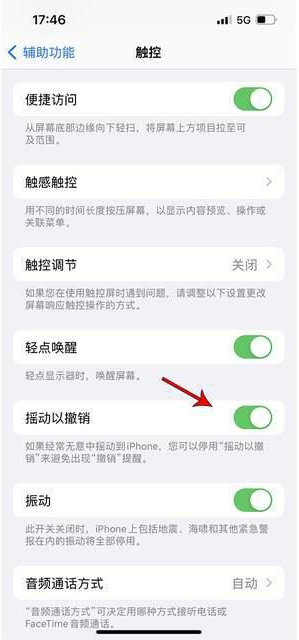 雨花苹果手机维修分享iPhone手机如何设置摇一摇删除文字 