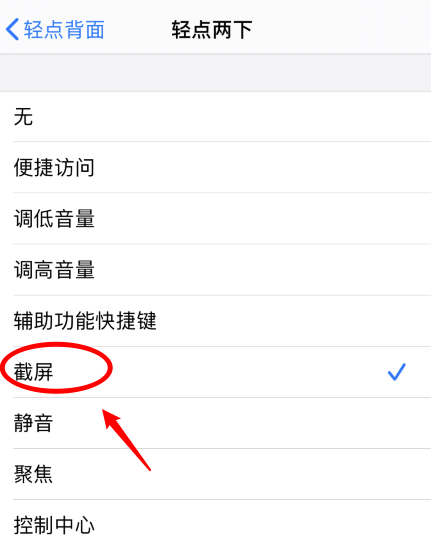 雨花苹果手机维修分享iPhone12如何启用双击截屏 